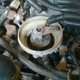 Illustration for article titled My Brothers Saab and My Mustang Just Had Similar Failures